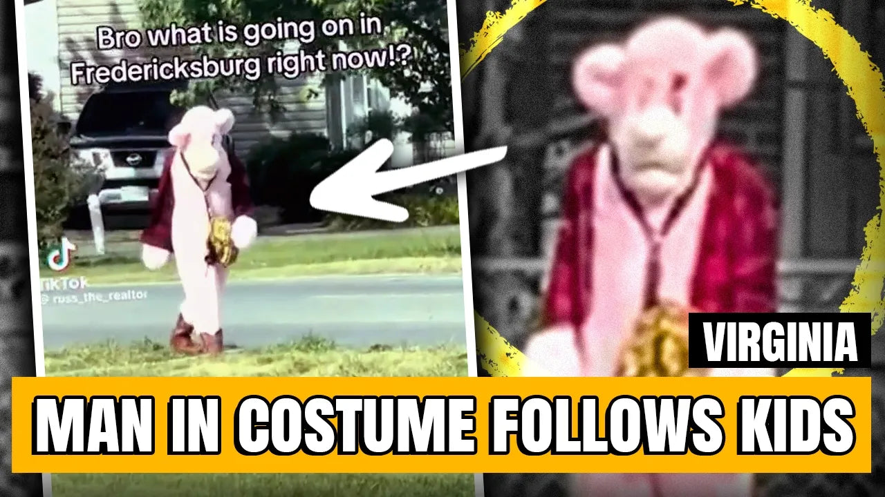 Possible Child Abductor Dressed as Pink Panther on the Loose